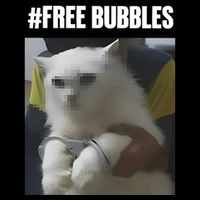 Free Bubbles Cat Visor