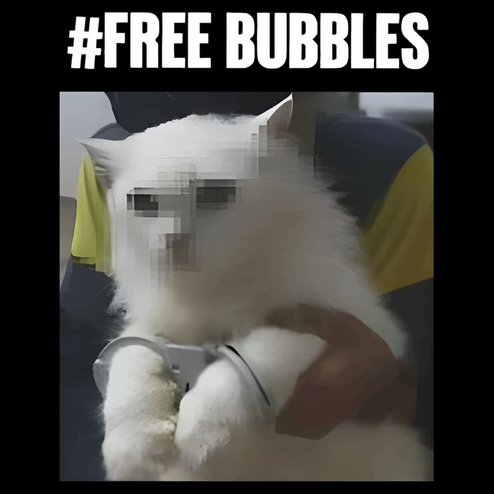 Free Bubbles Cat Visor