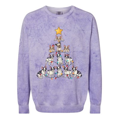 French Bulldog Christmas Tree Frenchie Dog Xmas Pjs Pajamas Colorblast Crewneck Sweatshirt