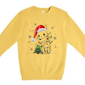 Funny Black Cat Christmas Lights Santa Hat Xmas Premium Crewneck Sweatshirt