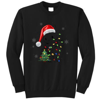 Funny Black Cat Christmas Lights Santa Hat Xmas Sweatshirt