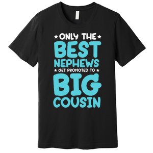 Future Big Cousin Baby Cousins Announcement Premium T-Shirt