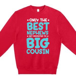 Future Big Cousin Baby Cousins Announcement Premium Crewneck Sweatshirt