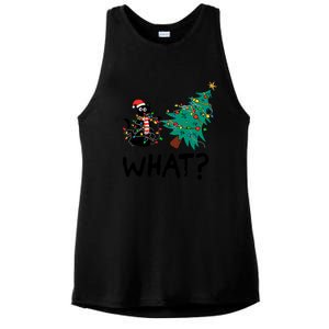 Funny Black Cat Pushing Christmas Tree Over Cat What Ladies PosiCharge Tri-Blend Wicking Tank