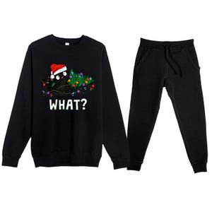 Funny Black Cat Pushing Christmas Tree Over Graphic Design Premium Crewneck Sweatsuit Set