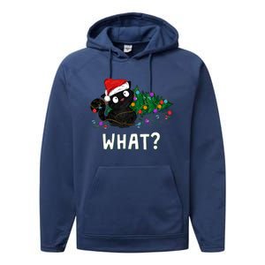 Funny Black Cat Pushing Christmas Tree Over Graphic Design Performance Fleece Hoodie