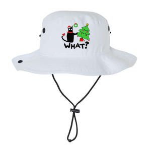 Funny Black Cat Pushing Christmas Tree Over Funny Cat What Legacy Cool Fit Booney Bucket Hat