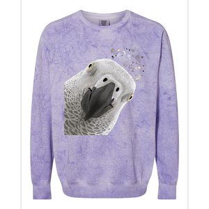 Funny Bird Curious African Gray Parrot Gift Colorblast Crewneck Sweatshirt