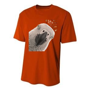 Funny Bird Curious African Gray Parrot Gift Performance Sprint T-Shirt