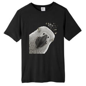 Funny Bird Curious African Gray Parrot Gift Tall Fusion ChromaSoft Performance T-Shirt