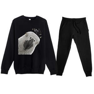 Funny Bird Curious African Gray Parrot Gift Premium Crewneck Sweatsuit Set