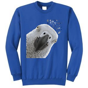 Funny Bird Curious African Gray Parrot Gift Tall Sweatshirt