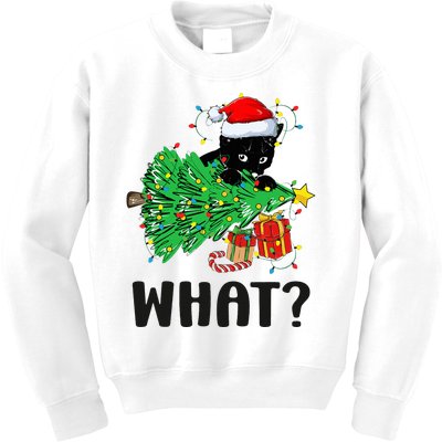 Funny Black Cat Gift Pushing Christmas Tree Over Cat What  Kids Sweatshirt