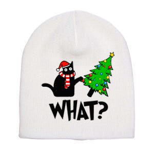 Funny Black Cat Gift Pushing Christmas Tree Over Cat What  Short Acrylic Beanie