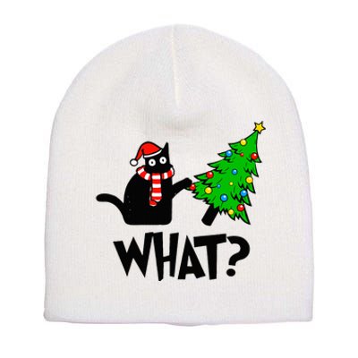 Funny Black Cat Gift Pushing Christmas Tree Over Cat What  Short Acrylic Beanie