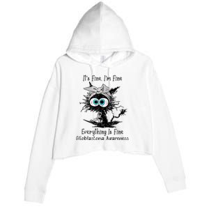 Funny Black Cat Its Fine IM Fine Glioblastoma Awareness Crop Fleece Hoodie