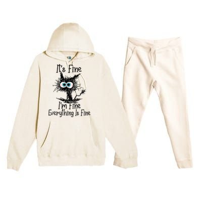 Funny Black Cat It's Fine I'm Fine Everything Is Fine Premium Hooded Sweatsuit Set