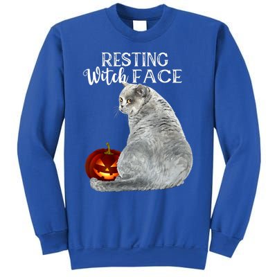 Funny Black Cat Resting Witch Face Halloween Costume Meaningful Gift Sweatshirt