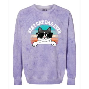 Funny Best Cat Dad Ever Gift Colorblast Crewneck Sweatshirt