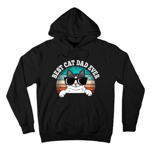 Funny Best Cat Dad Ever Gift Hoodie