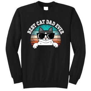 Funny Best Cat Dad Ever Gift Tall Sweatshirt