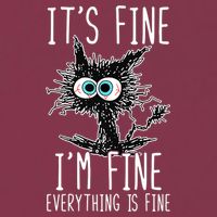 Funny Black Cat It's Fine I'm Fine Everything Is Fine 16oz Travel Tumbler
