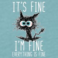Funny Black Cat It's Fine I'm Fine Everything Is Fine Sueded Cloud Jersey T-Shirt