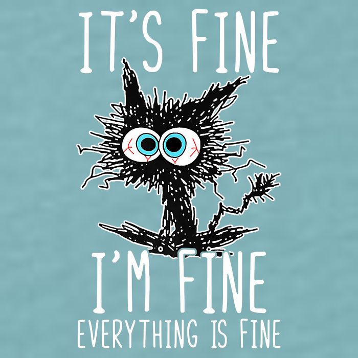 Funny Black Cat It's Fine I'm Fine Everything Is Fine Sueded Cloud Jersey T-Shirt