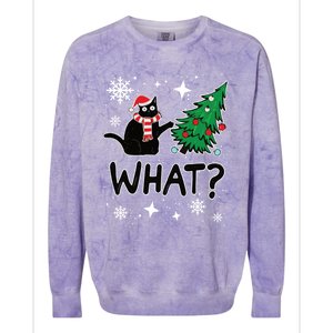 Funny Black Cat Design Pushing Christmas Tree Over Cat What? Gift Colorblast Crewneck Sweatshirt