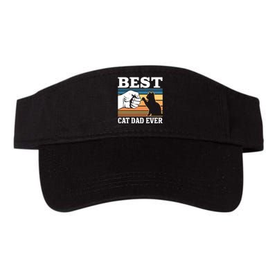 Funny Best Cat Dad Ever Gift Valucap Bio-Washed Visor