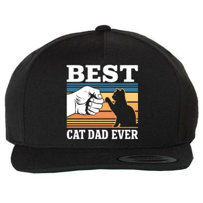 Funny Best Cat Dad Ever Gift Wool Snapback Cap