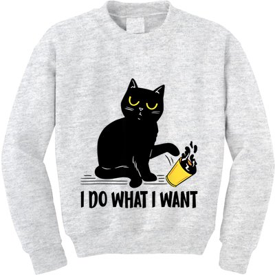 Funny Black Cat I Do What I Want Cat Lover Gifts Kids Sweatshirt