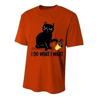 Funny Black Cat I Do What I Want Cat Lover Gifts Performance Sprint T-Shirt