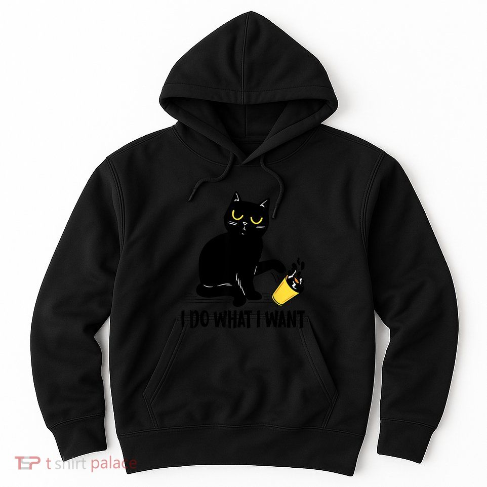 Funny Black Cat I Do What I Want Cat Lover Gifts Hoodie