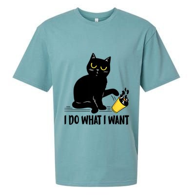 Funny Black Cat I Do What I Want Cat Lover Gifts Sueded Cloud Jersey T-Shirt
