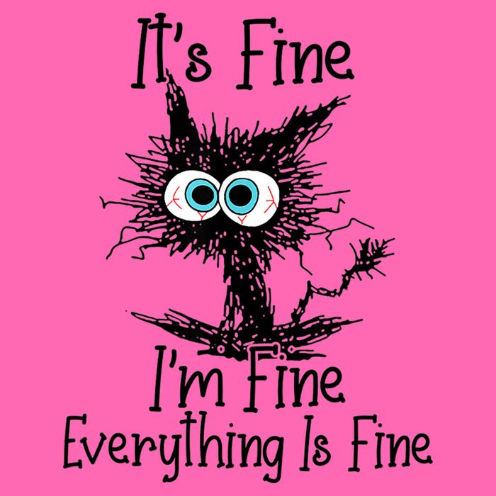 Funny Black Cat ItS Fine IM Fine Everything Is Fine Stripe Pom Pom Beanie