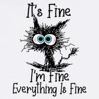 Funny Black Cat ItS Fine IM Fine Everything Is Fine Hoodie