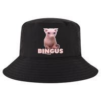 Funny Bingus Cat Meme Cool Comfort Performance Bucket Hat