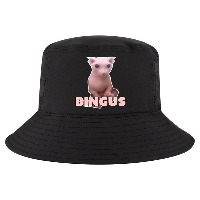 Funny Bingus Cat Meme Cool Comfort Performance Bucket Hat