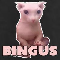 Funny Bingus Cat Meme Cool Comfort Performance Bucket Hat