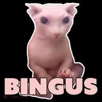 Funny Bingus Cat Meme Impact Tech Backpack