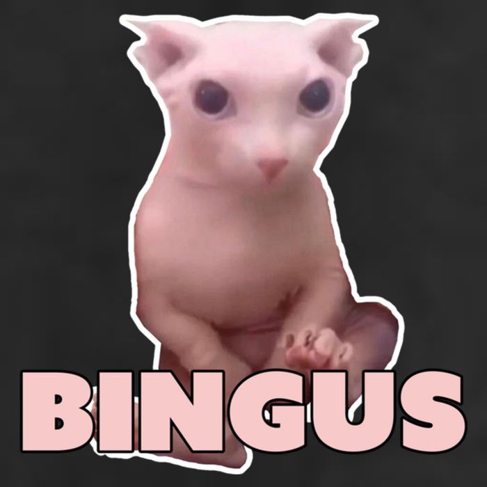 Funny Bingus Cat Meme Microfiber Hand Towel