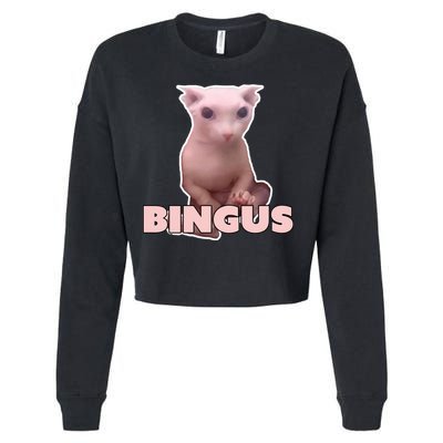 Funny Bingus Cat Meme Cropped Pullover Crew