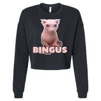 Funny Bingus Cat Meme Cropped Pullover Crew