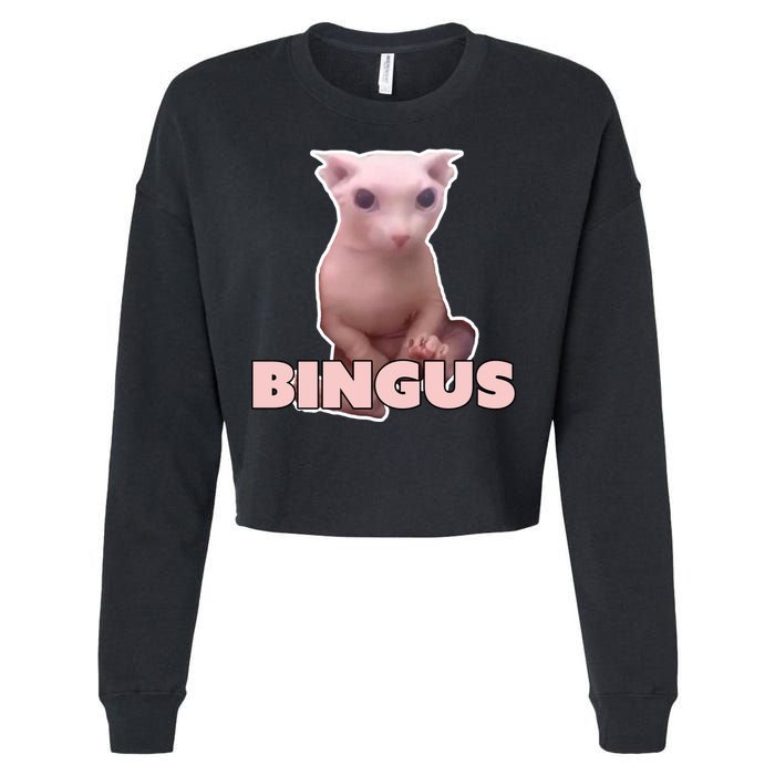 Funny Bingus Cat Meme Cropped Pullover Crew