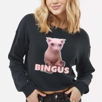 Funny Bingus Cat Meme Cropped Pullover Crew