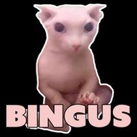 Funny Bingus Cat Meme Cropped Pullover Crew
