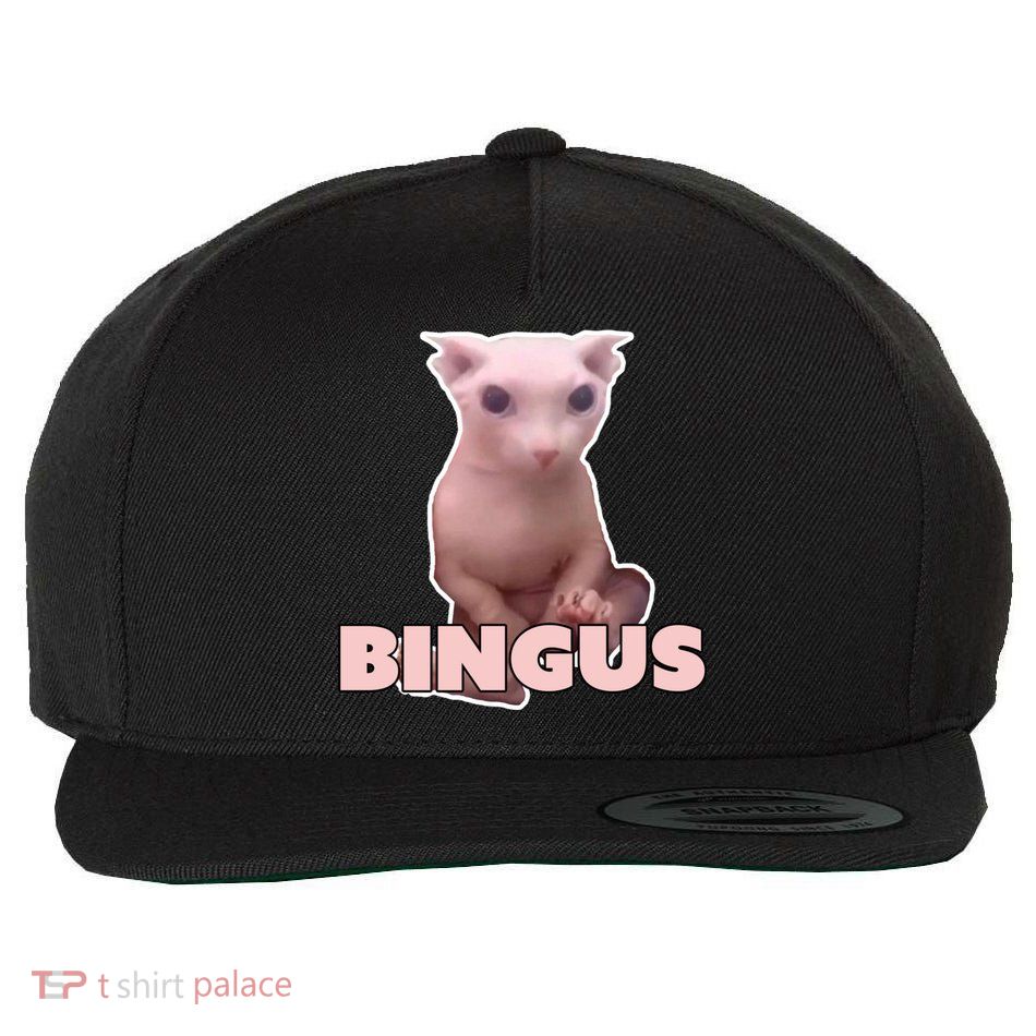 Funny Bingus Cat Meme Wool Snapback Cap