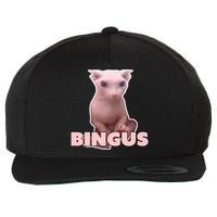 Funny Bingus Cat Meme Wool Snapback Cap