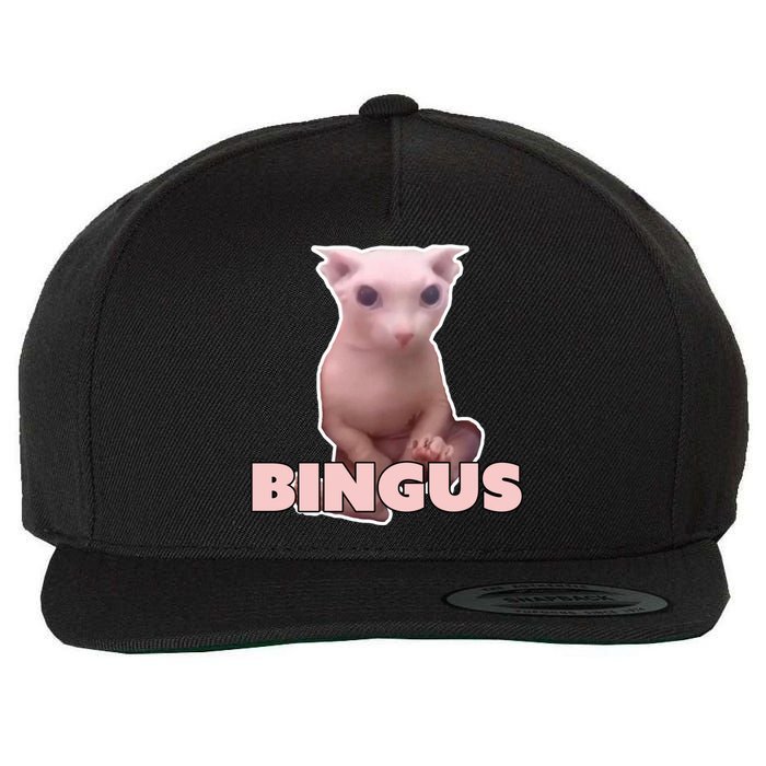 Funny Bingus Cat Meme Wool Snapback Cap